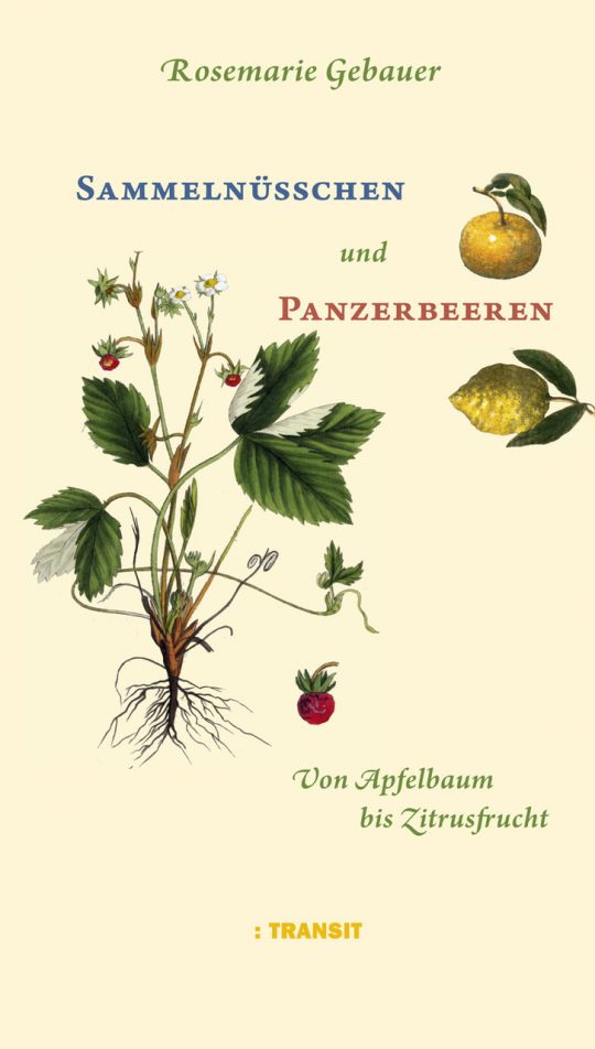 Sammelnüsschen und Panzerbeeren. Von Apfelbaum bis Zitrusfrucht