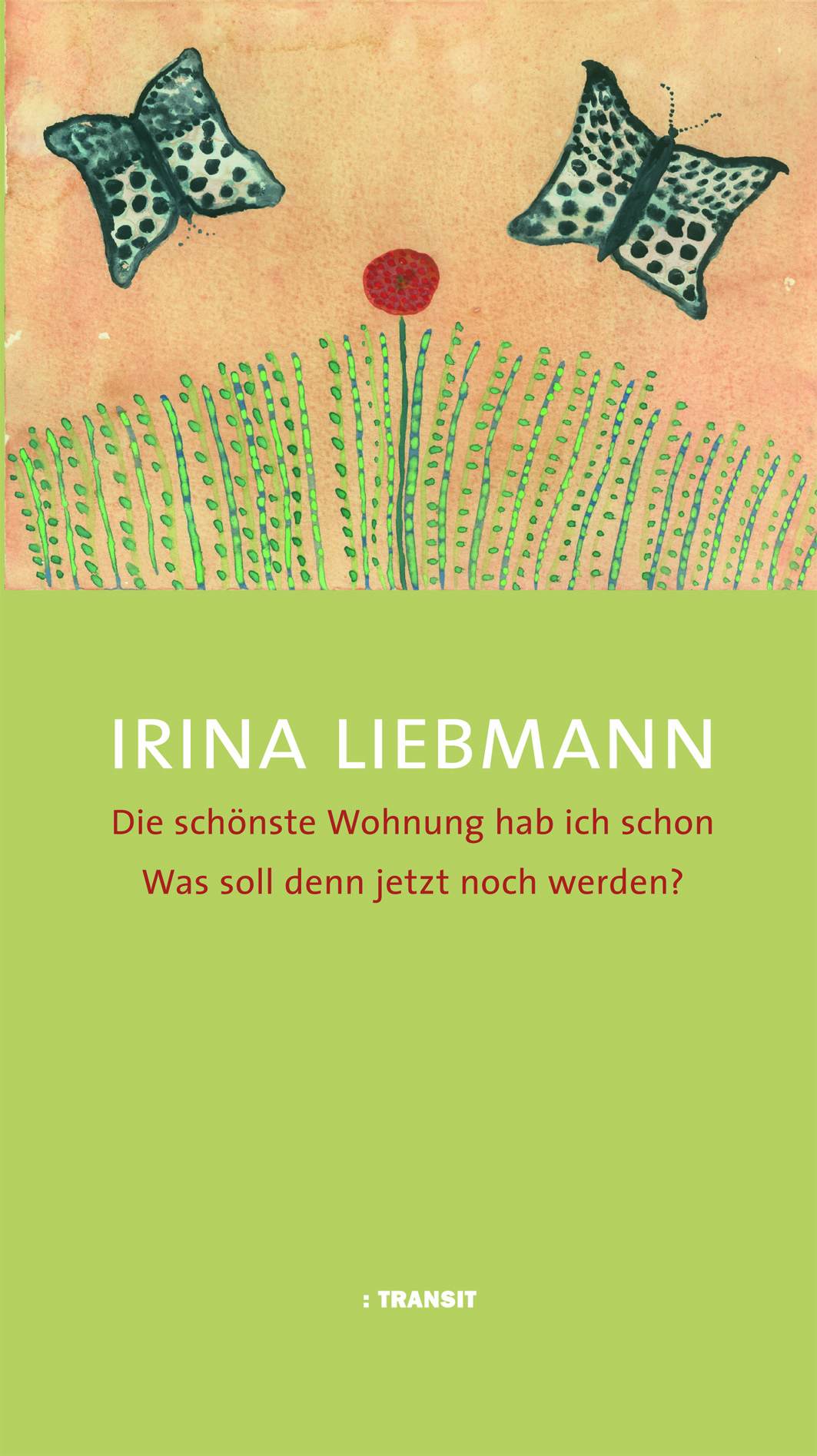 UmschlagfilmLiebmann.indd